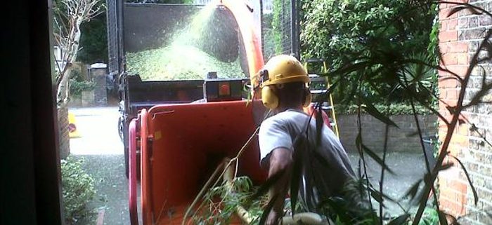 hedge reductions Wilmslow