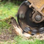 400x600 Stump Grinding Wrexham