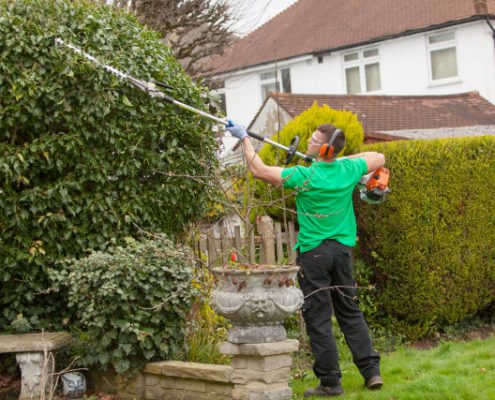 Hedge Reduction by Congleton Tree Surgeons